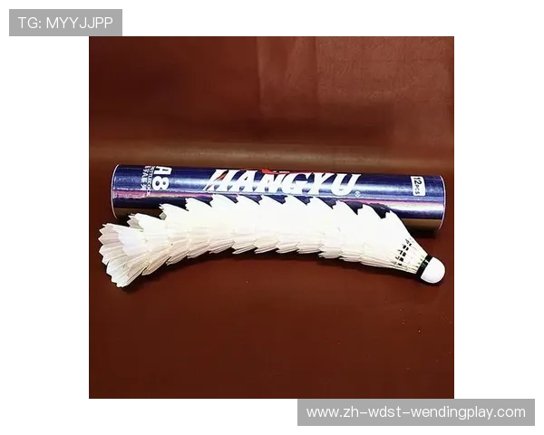 羽毛球实用招数 羽毛球实用招数